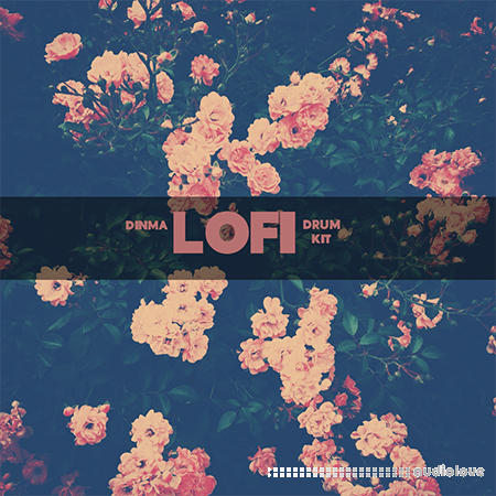 Dinma Beats Lo-Fi Drum Kit WAV